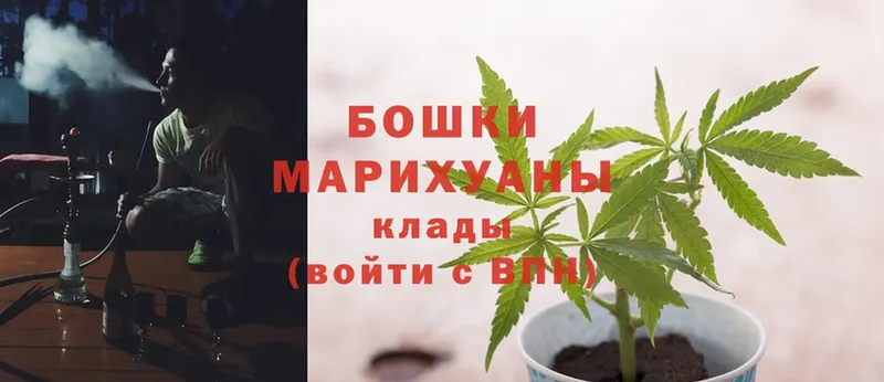 Бошки марихуана OG Kush  цены наркотик  Орлов 